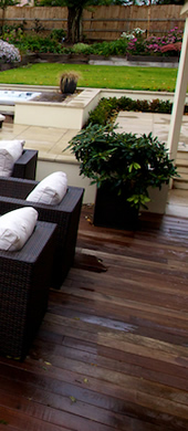 Contemporary Gardens