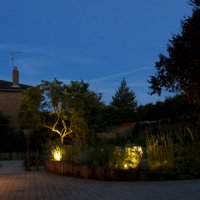 Naturalistic planting